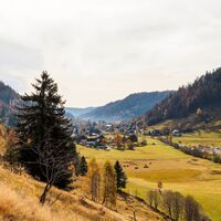 Menzenschwand