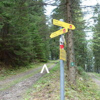 am Rückweg Richtung Pfaffenalm