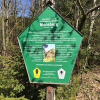 Infotafel Moosburg - Rundwanderweg "Moosburg / Moosbachtal" Steinbach-Hallenberg - Thüringer Wald