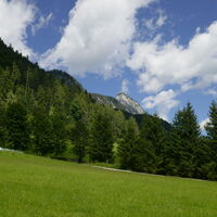 auch der Hochtausing lässt sich nochmals blicken