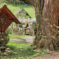 Wir wandern den Krumpenbach entlang