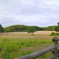Salzewiesen im Landschaftsgarten Bad Salzuflen 