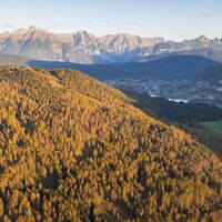 Drohnenaufnahme RLärchenwald in Reith_Blick auf Wettersteingebirge.jpg