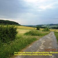 Wirtschaftswege zwischen Bellenberg und Ziegenberg
