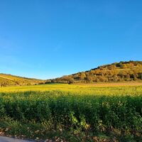 am Rückweg