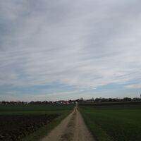 Fels - Absdorf