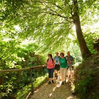 Wanderer auf dem Homburg-Steig