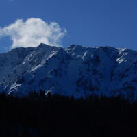 Sonnleiten - Mamauwiese - Puchberg