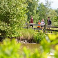 aurunde - kobenzer laufstrecken_img_74608028