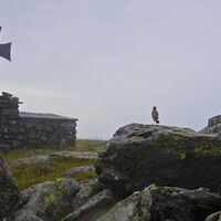 Tauchen - Hochwechsel