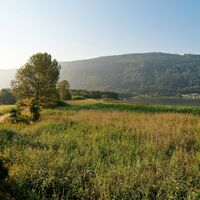 Bleistätter Moor