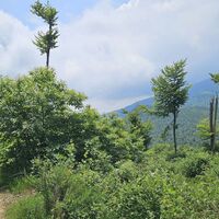 Monte Baraccone