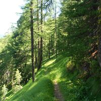 Sentiero Anello Cima Bosco