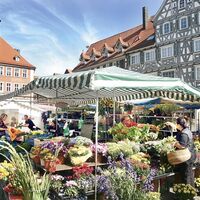 Der Schorndorfer Wochenmarkt im Sommer