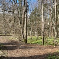 Auen-Trail - Steyr Unterhimmler Au