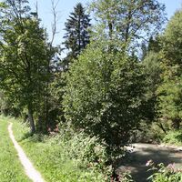 Söll_Energieweg_Wilder Kaiser
