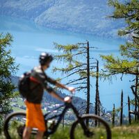 Blick auf den Millstätter See
