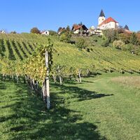 Zum Schluss steigt der Weg durch die Weingärten noch einmal steil an