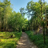 Chemin du Lac d'Armaille