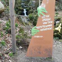 36.2 km Selfiepoint am unteren Teil der Forststraße