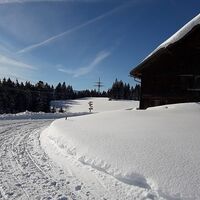 Rodelbahn Alberschwende Brüggelekopf