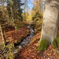 Im Holzbachtal