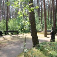 Rastplatz am Rollstuhlwanderweg