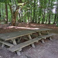 Autofahrer Gesundheitsweg