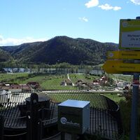 Wachauer Weinblick