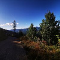 Tribein-Runde - unterwegs auf der  Strecke