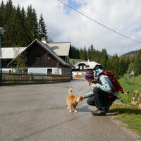 bei Schmelz gibts dann noch Streicheleinheiten...