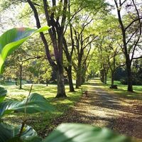 Kurpark Bad Gleichenberg