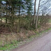 29.6 km Links abbiegen auf Feldweg nach Reitzenschalg
