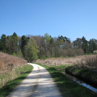 Aachradweg  Bohlingen - Moos