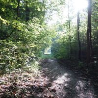 am Weg zur B14