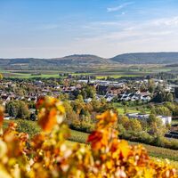 Blick auf Güglingen | HeilbronnerLand