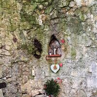in der Antonsgrotte