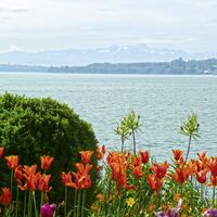 Seepromenade in Überlingen
