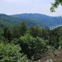Tiefblick Donau