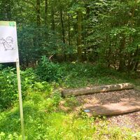 Fitnessstation Hirschbergsattel