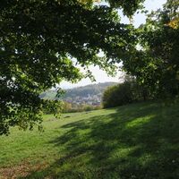 Waldshut 3