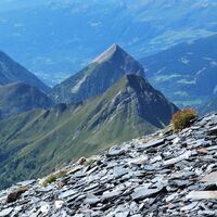 Vista dal Pizz Coroi