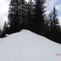 Aufstieg Sohlenkogel