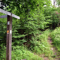 Ockensen_3634.JPG