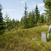 Am Gipfel des Tierkogel