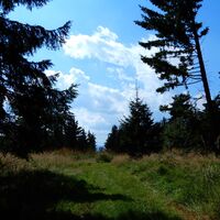 Gschaidt - Pichl - Schlag - Mönichkirchen