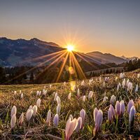 Schetteregg im Frühling