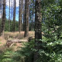 Ennepetal_Auf dem Karstweg