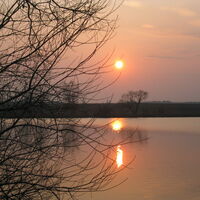 Meiselderofer Teich