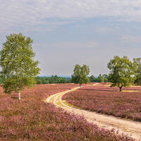 Höpen